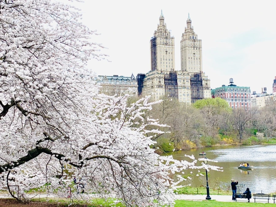 IMG_9818.jpg?type=w966