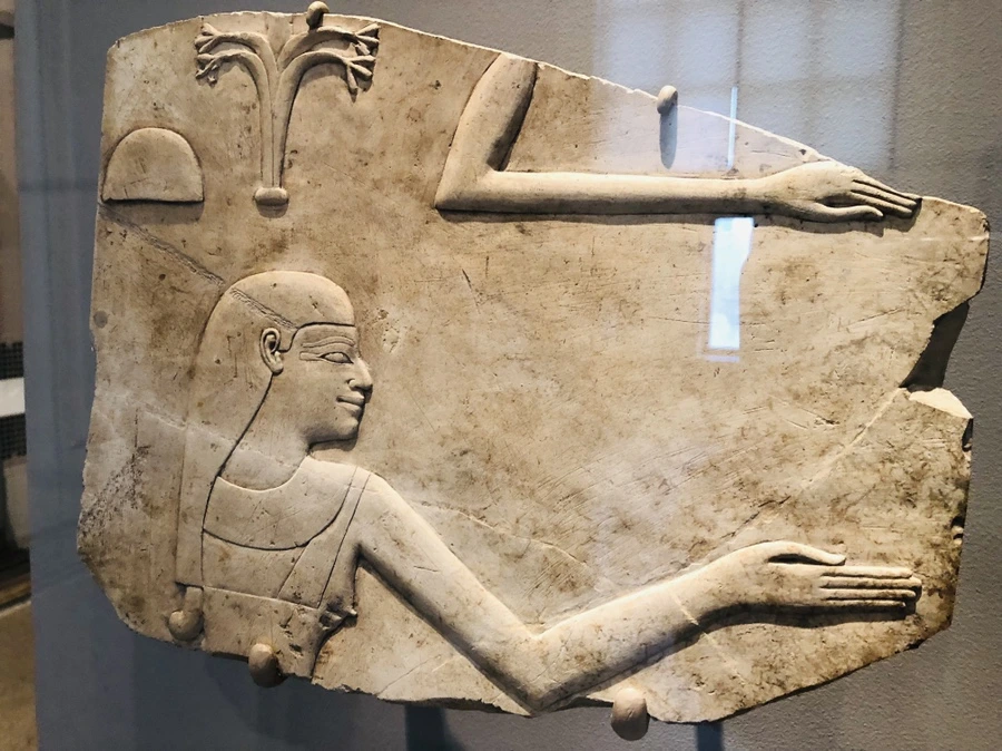 IMG_4218.jpg?type=w966