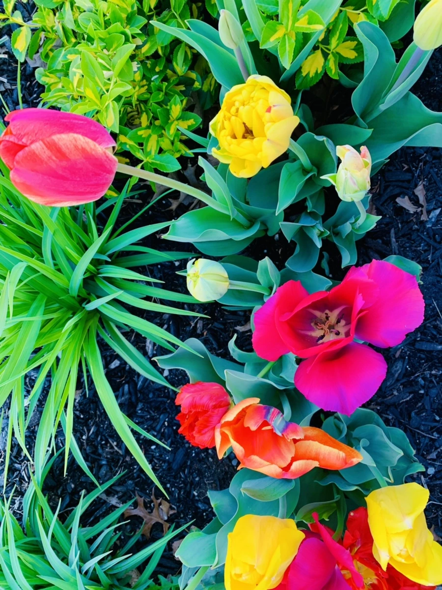 IMG_2023.jpg?type=w966