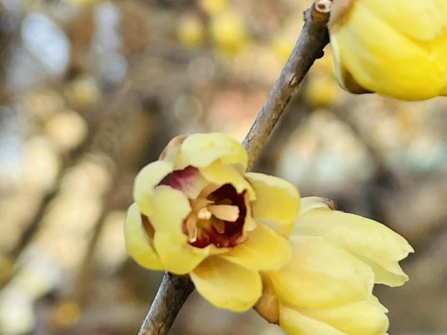 IMG_0157.jpg?type=w966