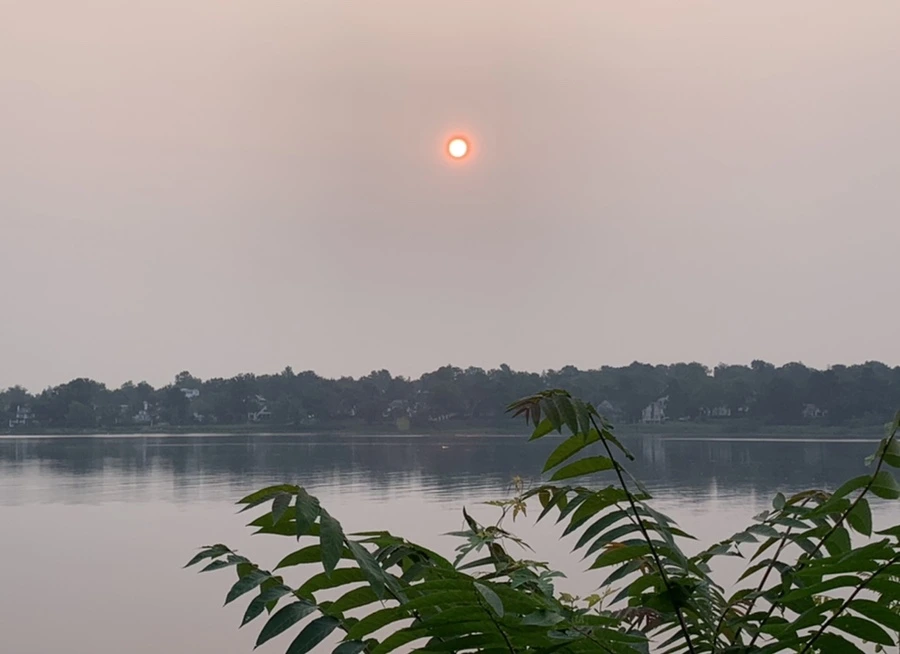 IMG_8106.jpg?type=w966