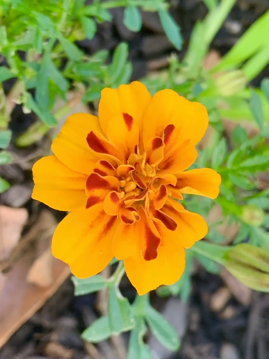 IMG_5188.jpg?type=w966