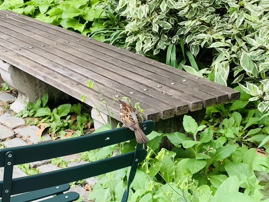 IMG_4987.jpg?type=w966