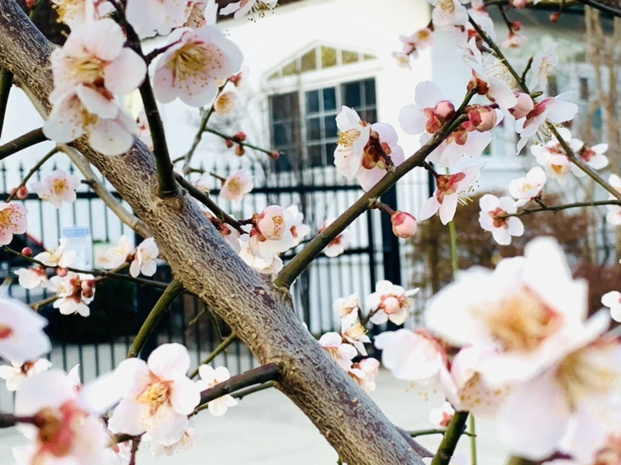 IMG_2249.jpg?type=w966