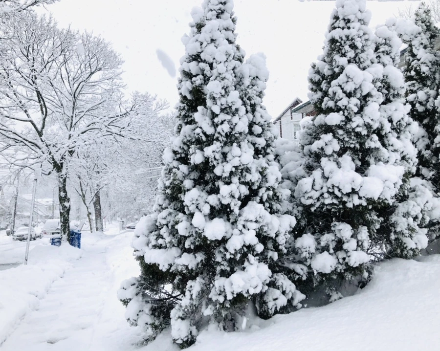 IMG_0957.jpg?type=w966