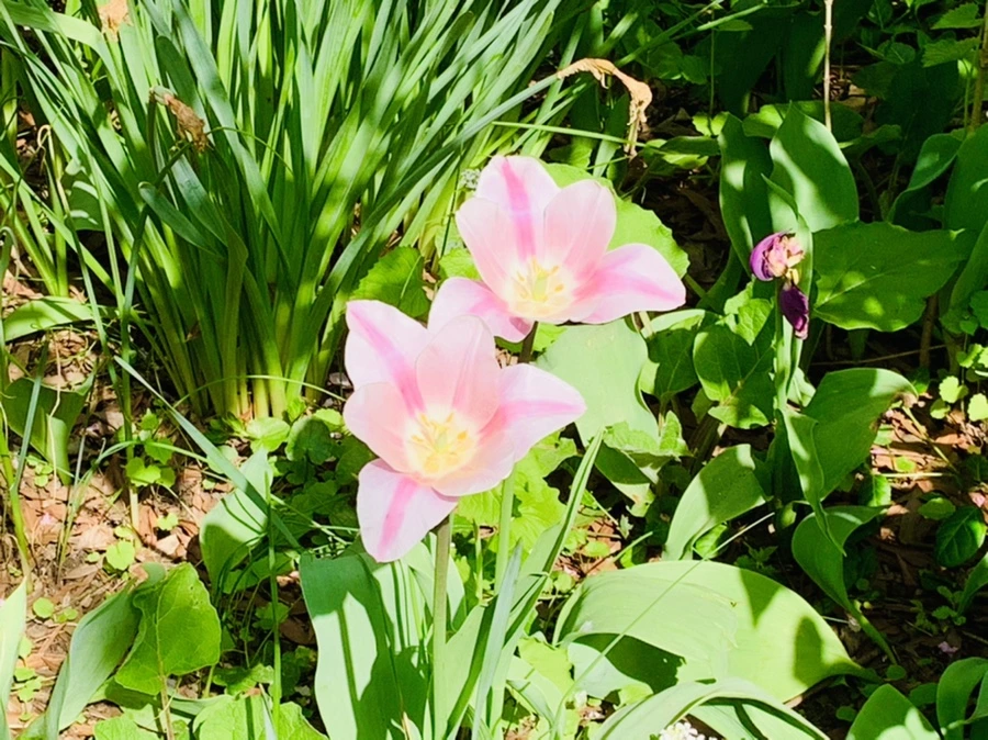 IMG_6882.jpg?type=w966