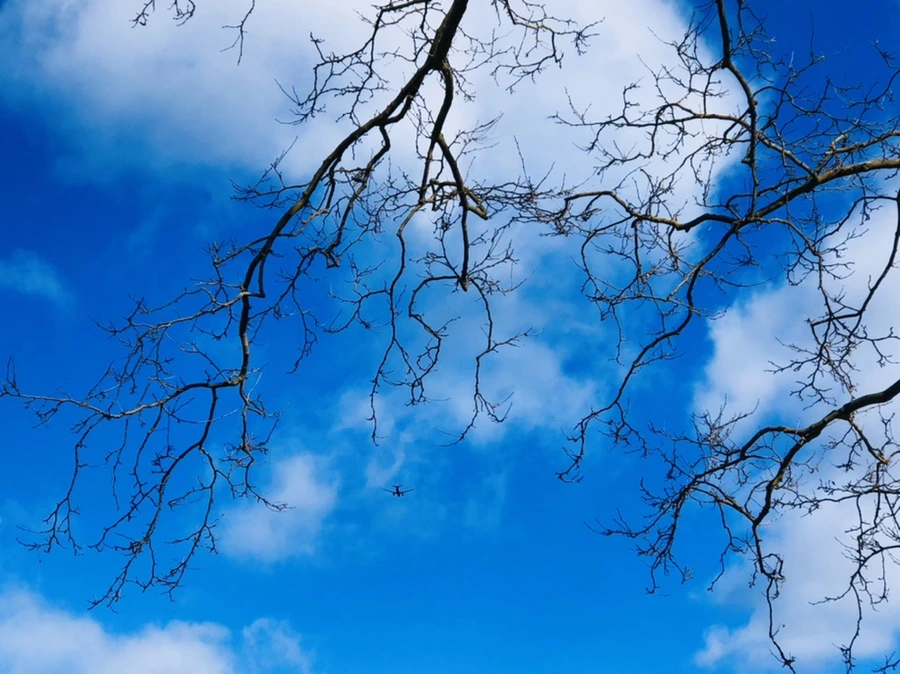 IMG_7557.jpg?type=w966