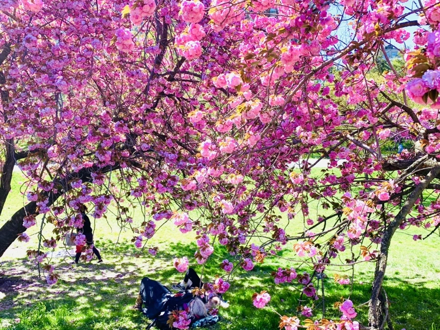 IMG_5926.jpg?type=w966