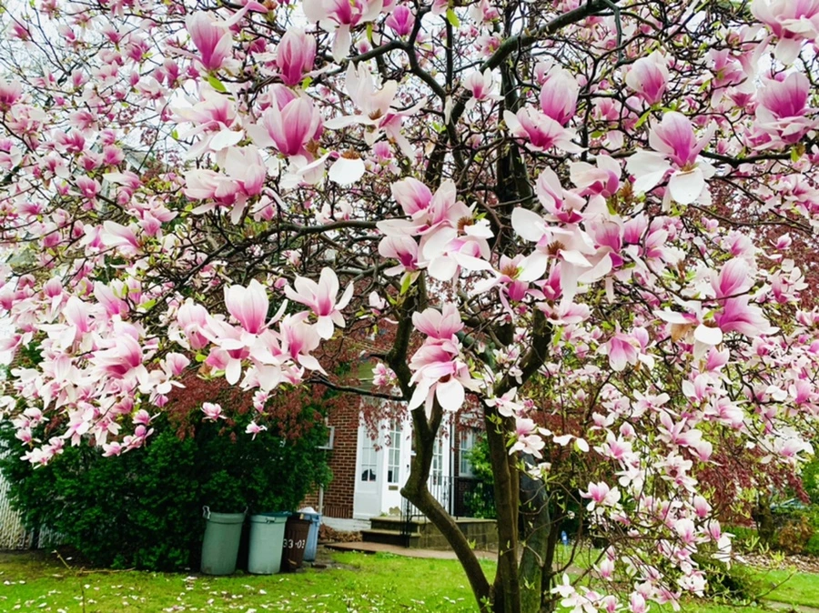 IMG_2331.jpg?type=w966