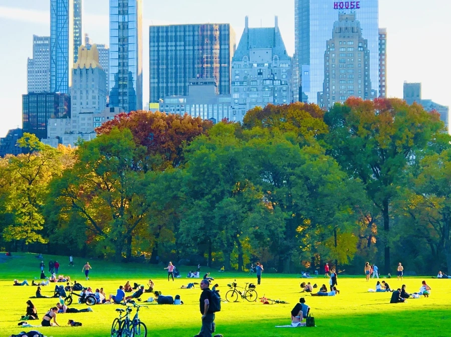 IMG_3642.jpg?type=w966