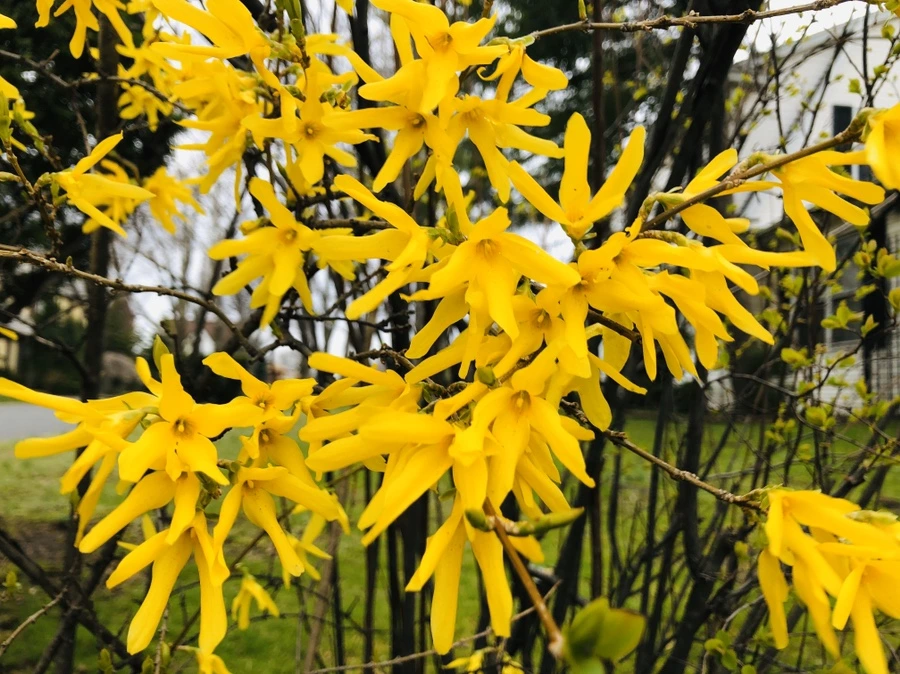 IMG_6708.jpg?type=w966