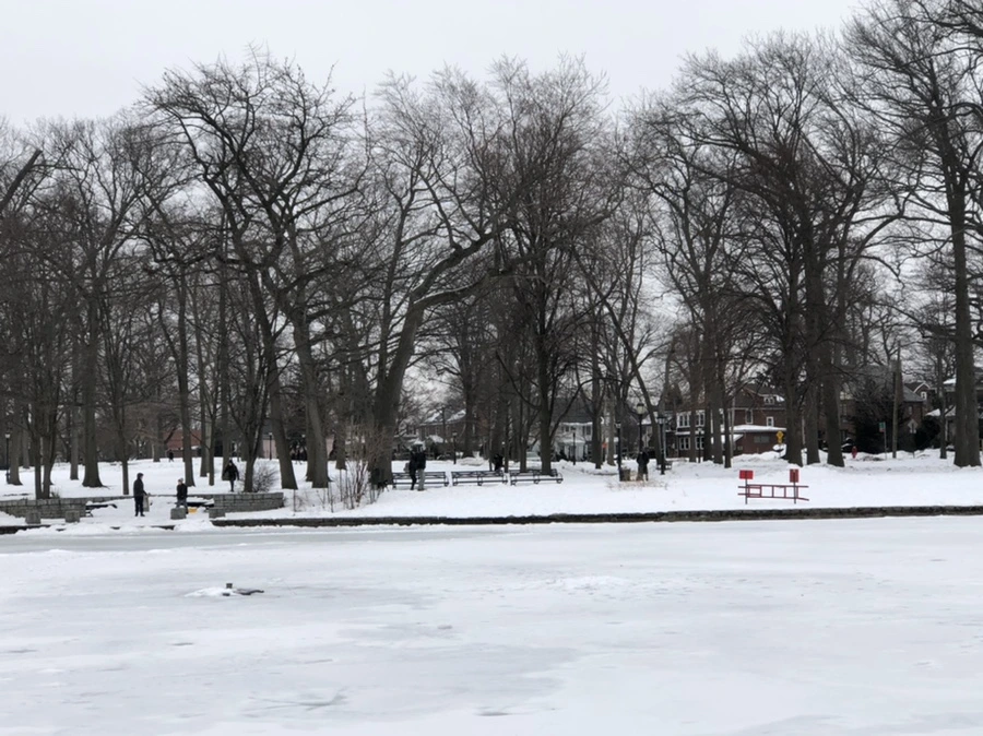 IMG_2741.jpg?type=w966