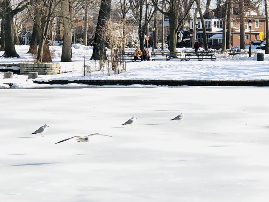 IMG_0336.jpg?type=w966