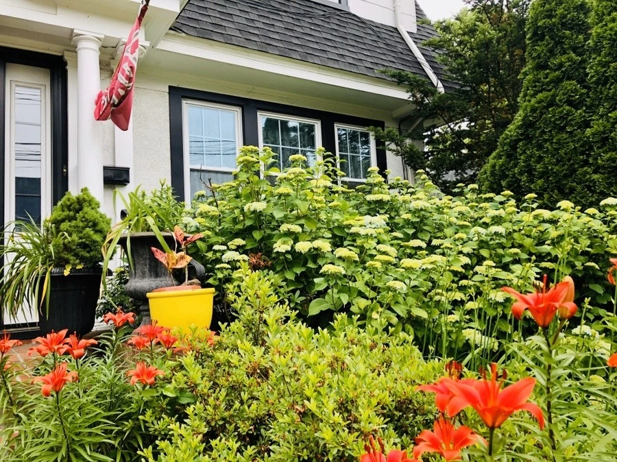 S1hEEJnImWgtUOaZ0JP2SlwrTwY