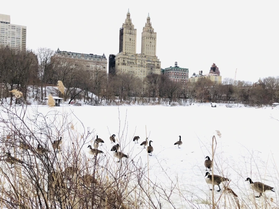 IMG_9484.jpg?type=w966