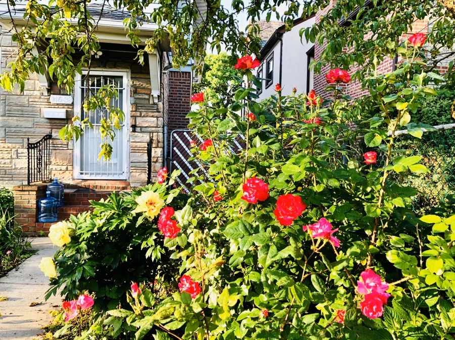 IMG_8061.jpg?type=w966