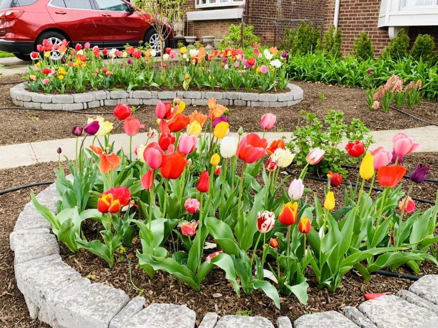 IMG_3981.jpg?type=w966