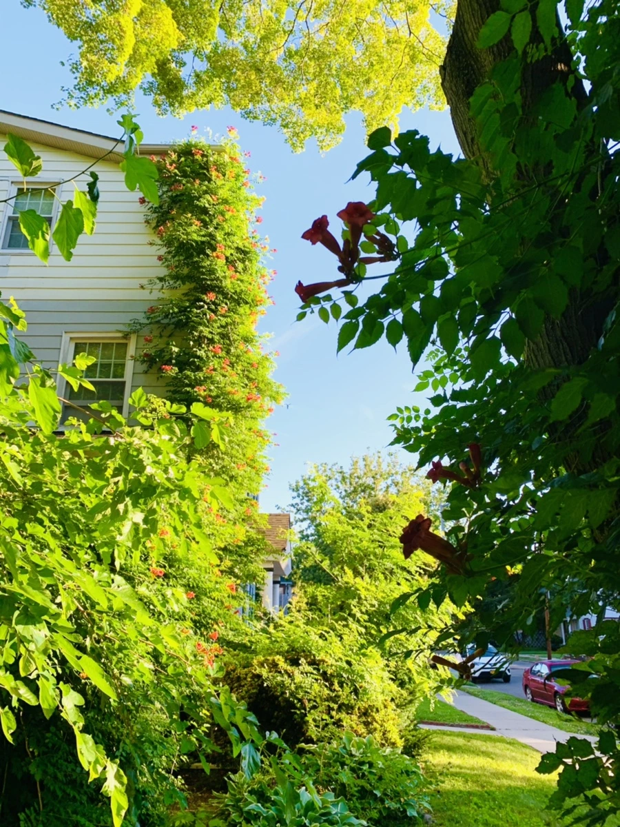 IMG_6496.jpg?type=w966