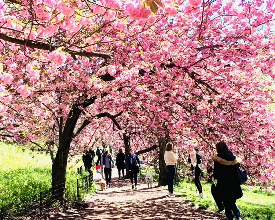 IMG_5899.jpg?type=w966