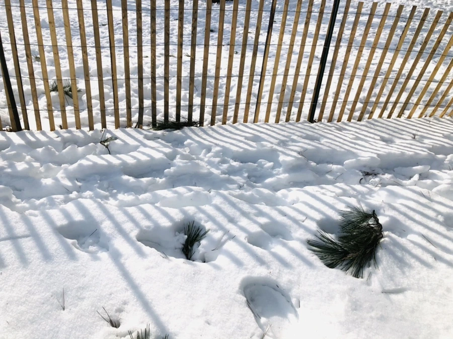 IMG_0136.jpg?type=w966