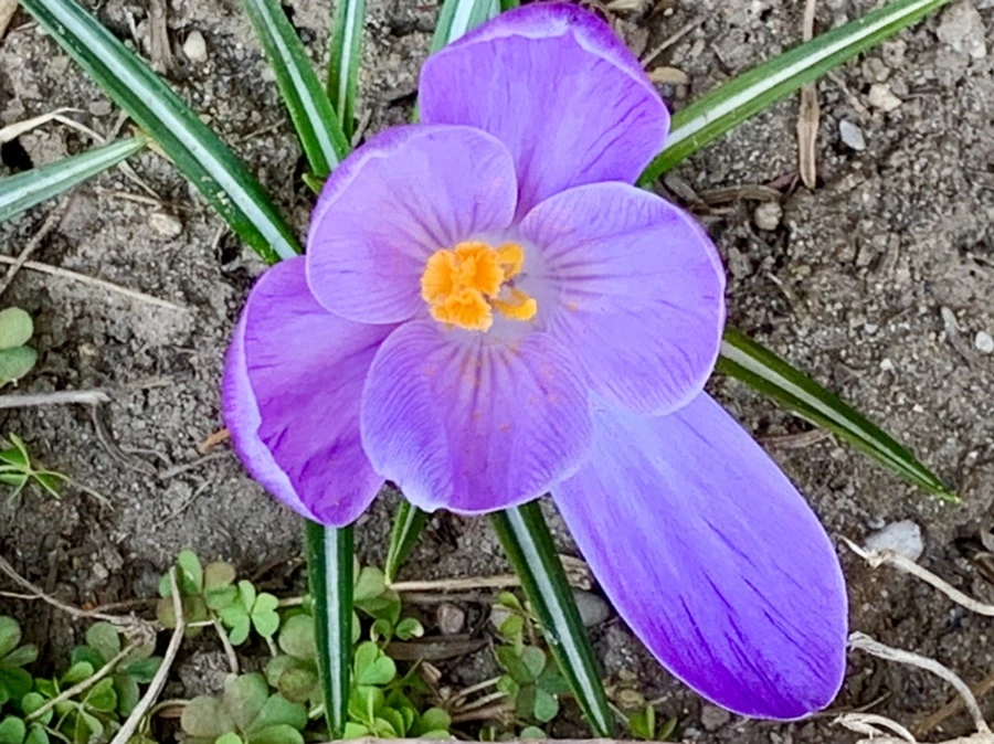 IMG_3156.jpg?type=w966