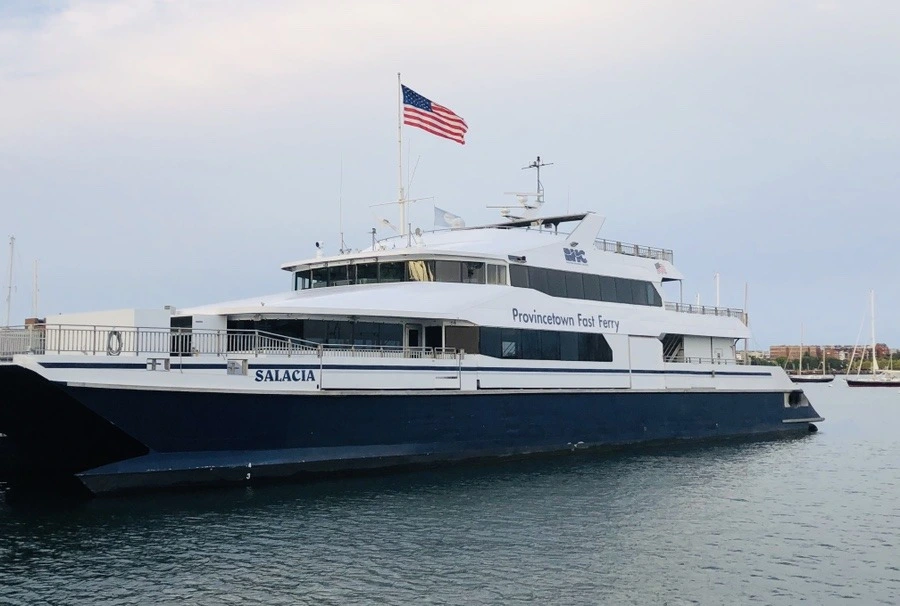 5p3njLTv9Igp311u0jwqGi299DU