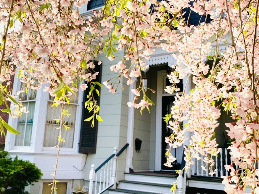 IMG_3734.jpg?type=w966