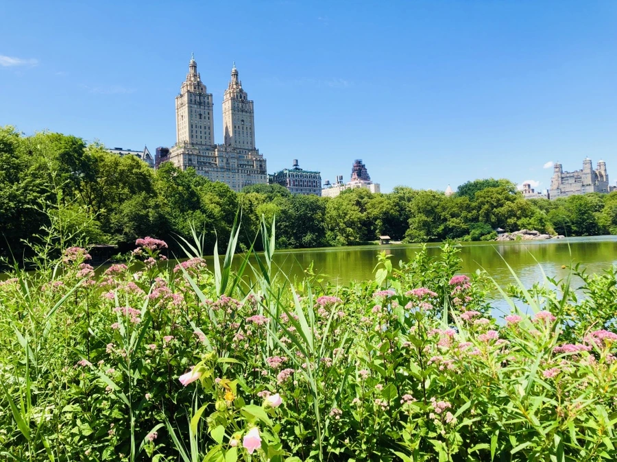 IMG_5739.jpg?type=w966