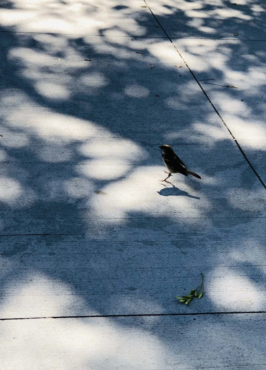 IMG_3482.jpg?type=w966