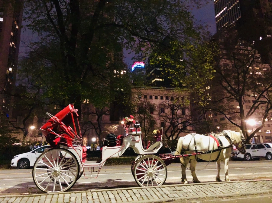 IMG_5190.jpg?type=w966