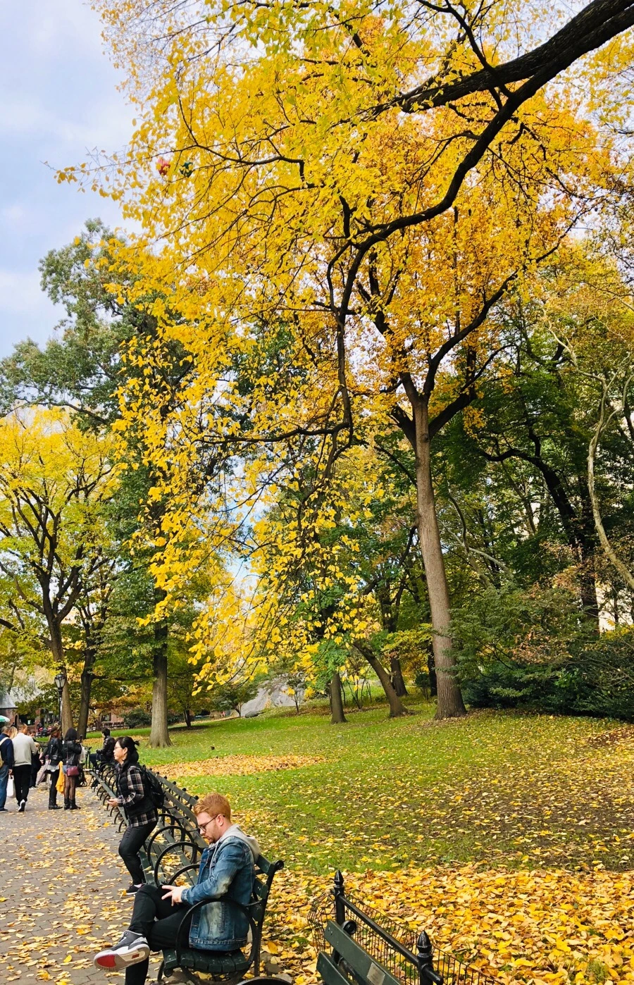 IMG_7499.jpg?type=w966