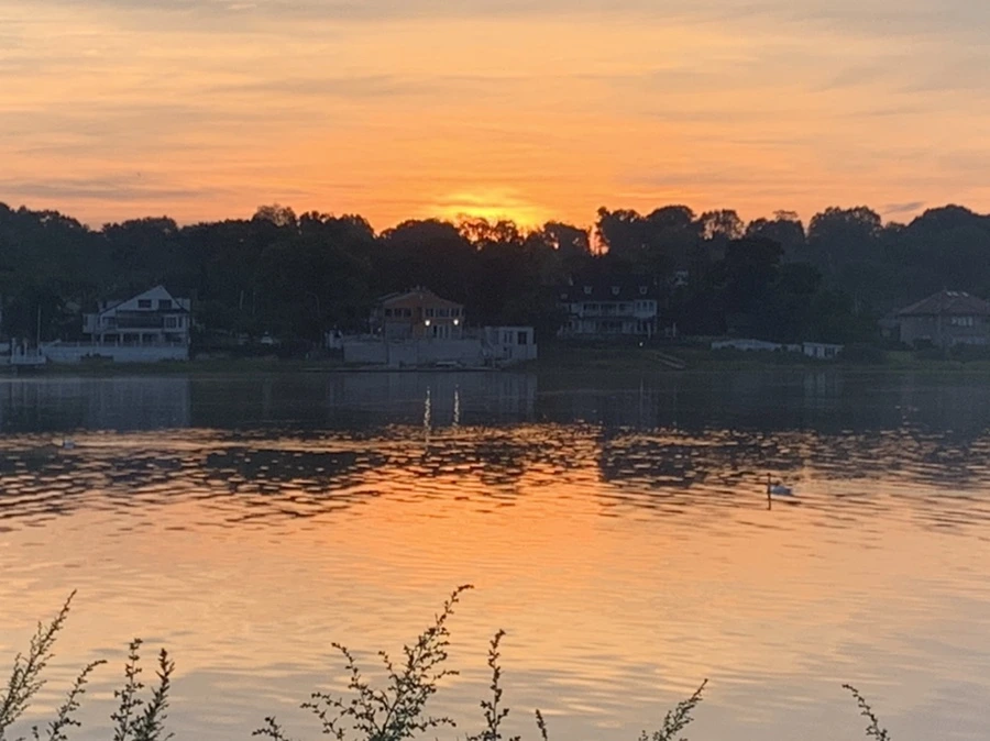 IMG_6807.jpg?type=w966