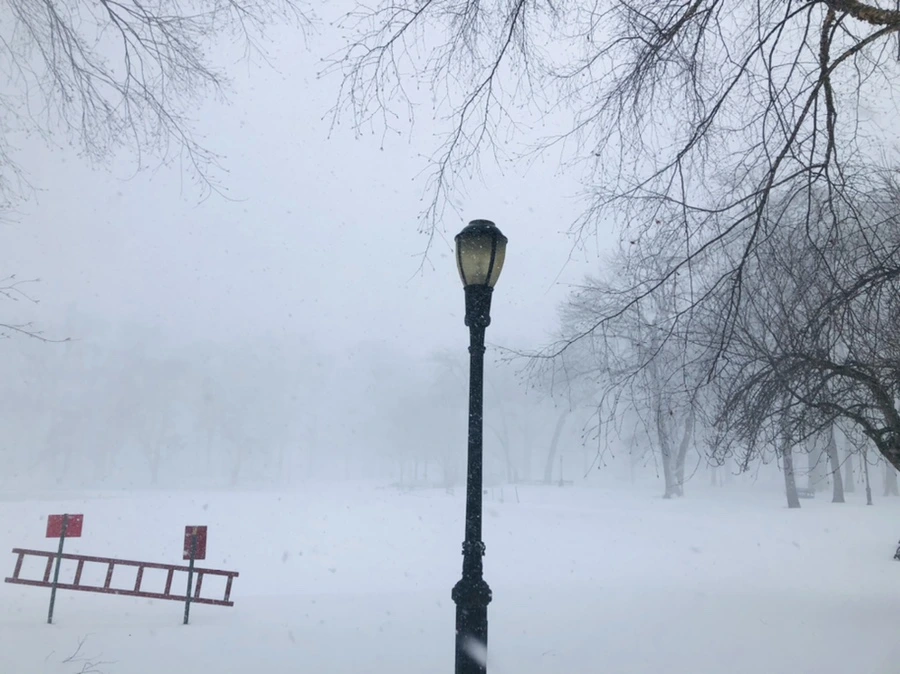 IMG_8809.jpg?type=w966