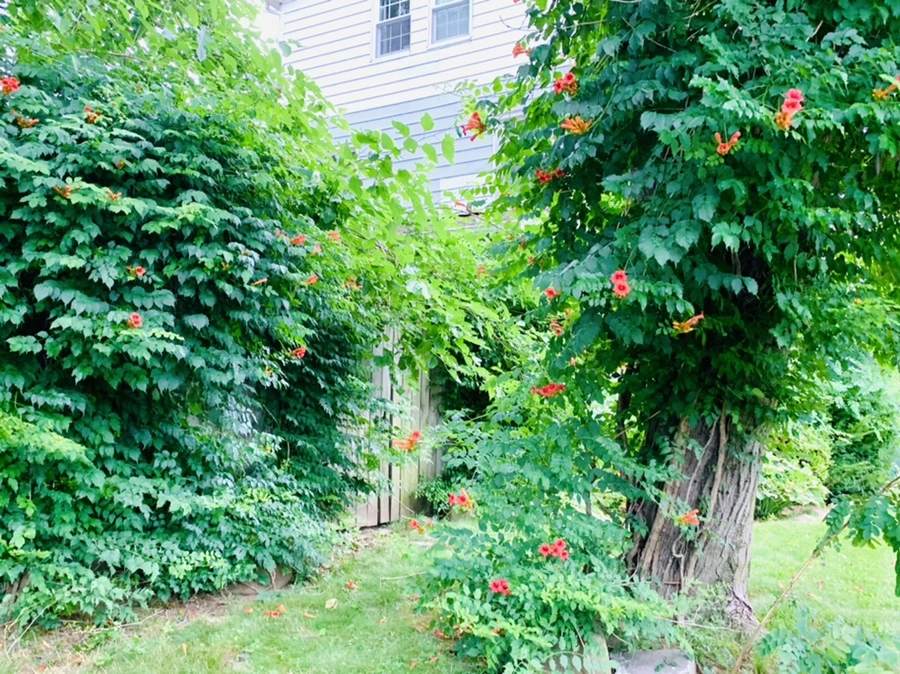 IMG_7457.jpg?type=w966