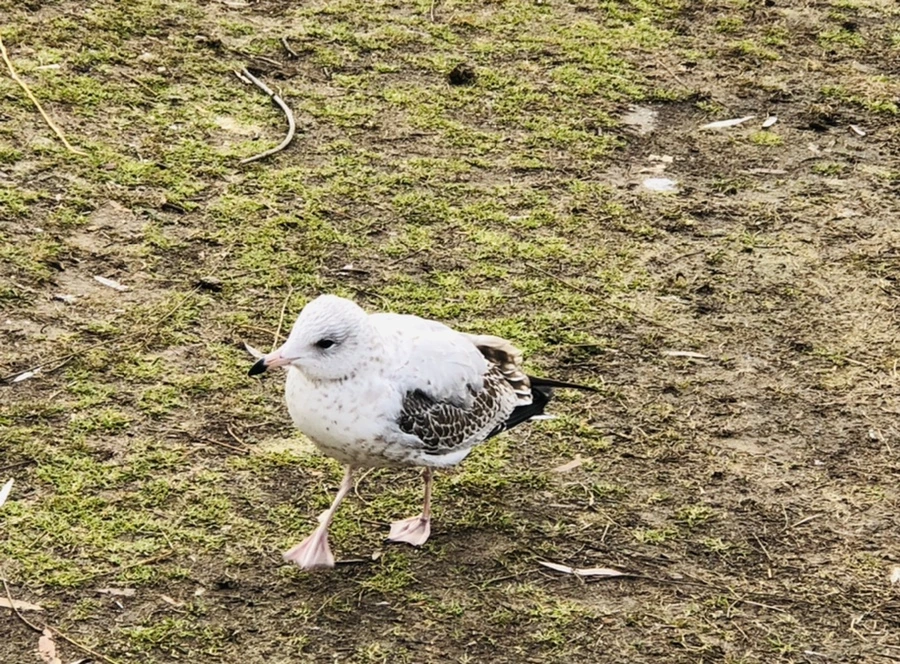 IMG_9904.jpg?type=w966