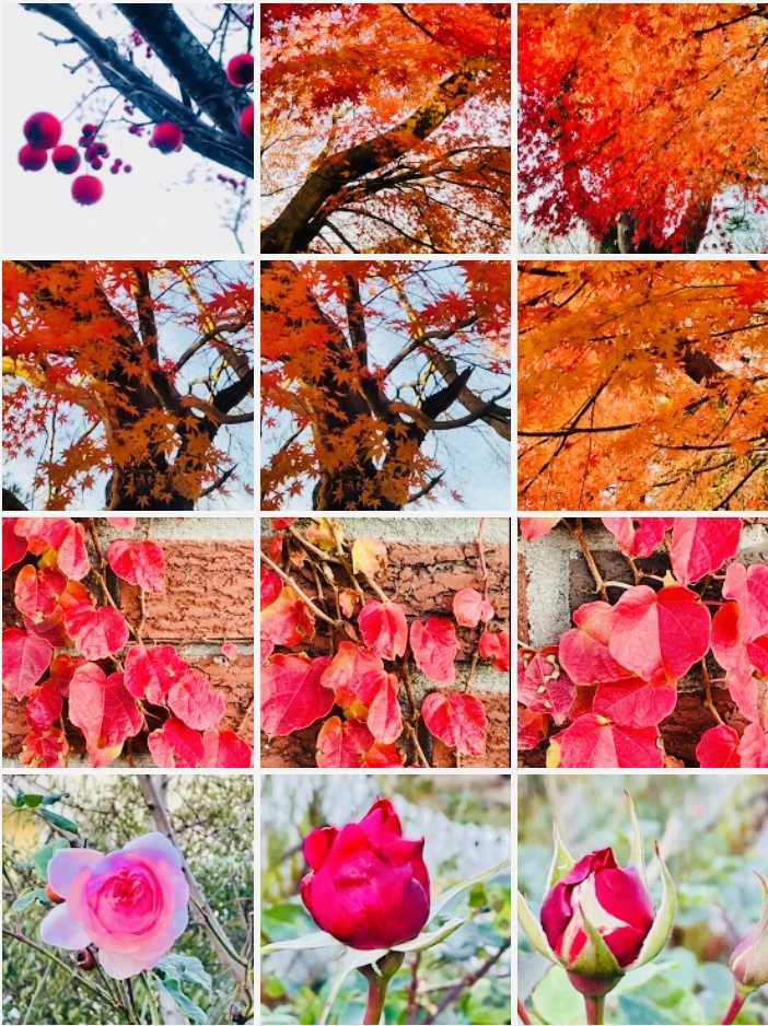 IMG_6065.jpg?type=w966