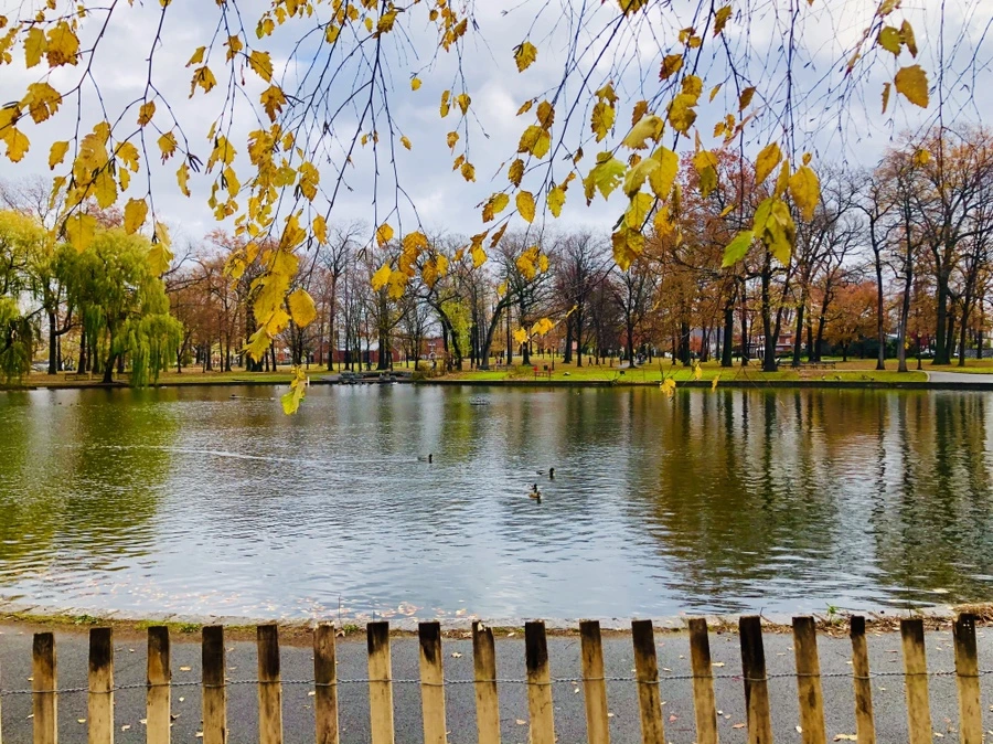 IMG_5440.jpg?type=w966