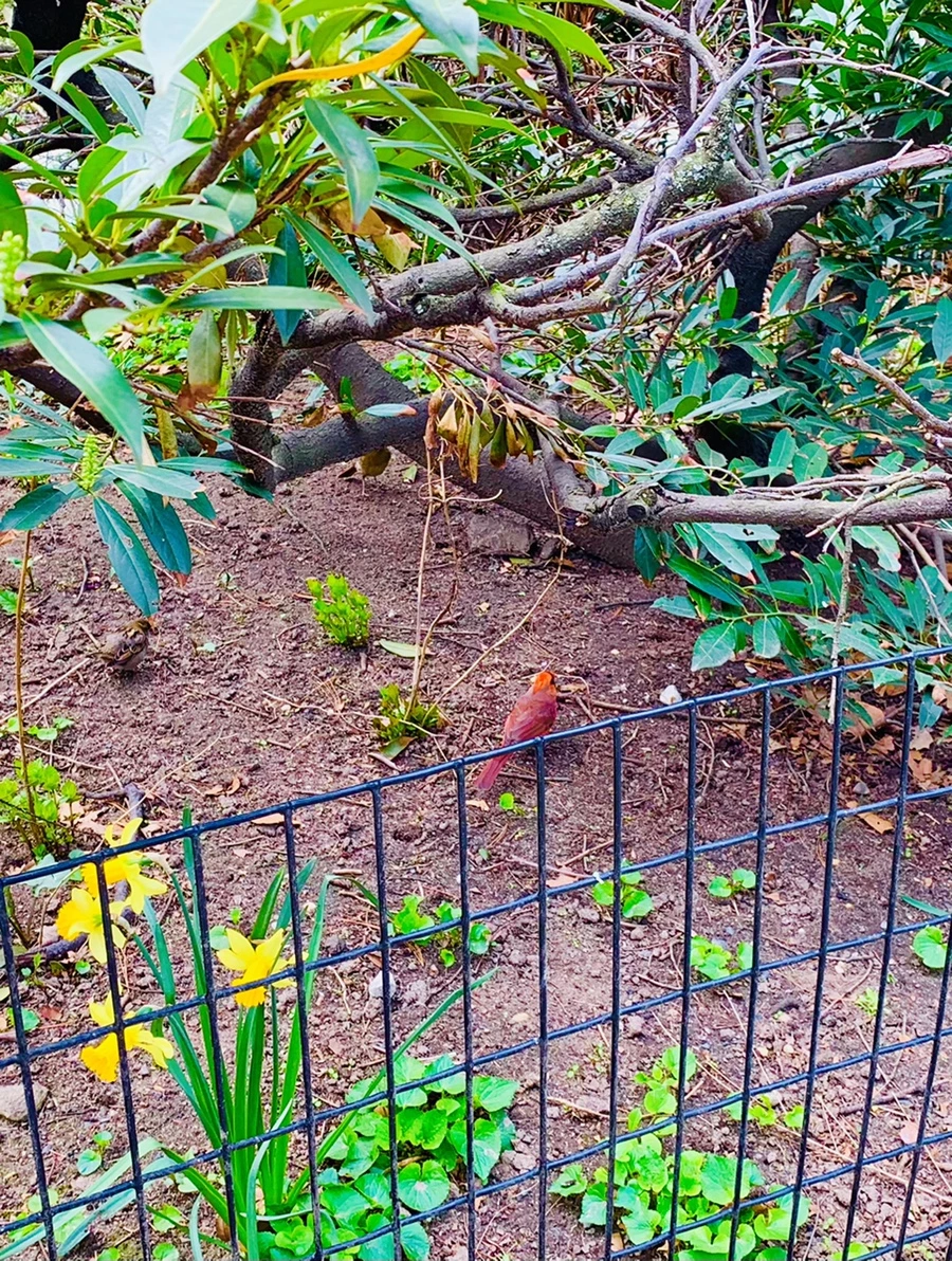 IMG_9501.jpg?type=w966