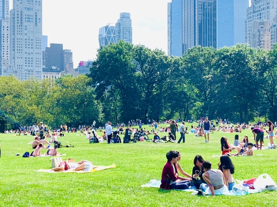 IMG_0593.jpg?type=w966