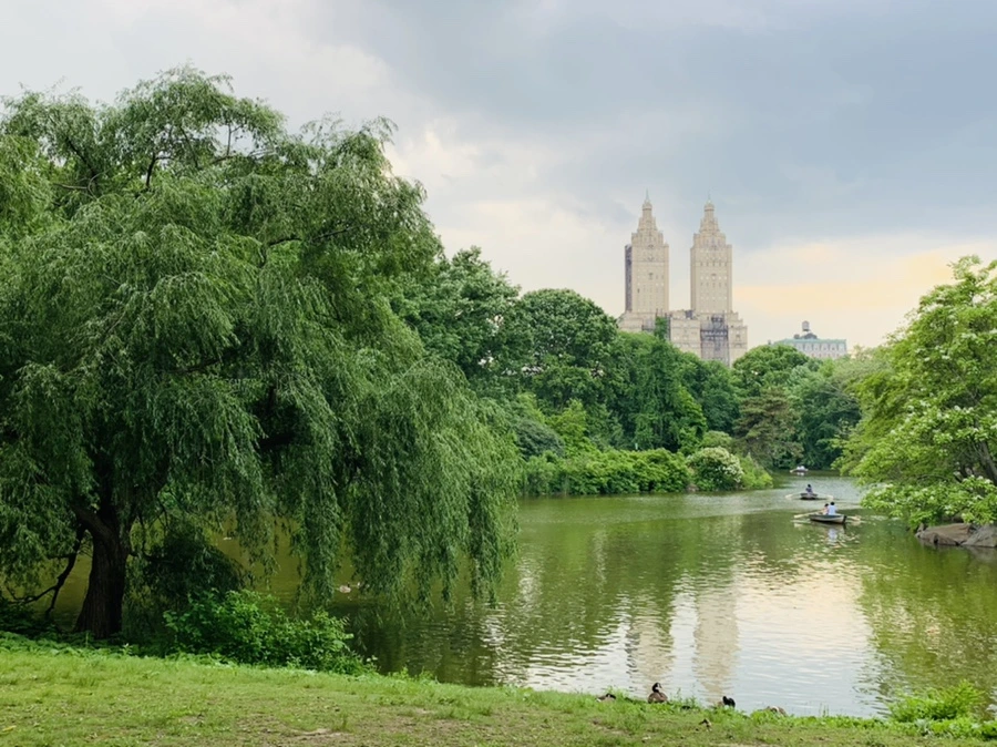 IMG_1698.jpg?type=w966