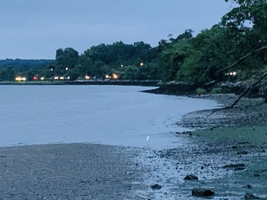 IMG_6708.jpg?type=w966