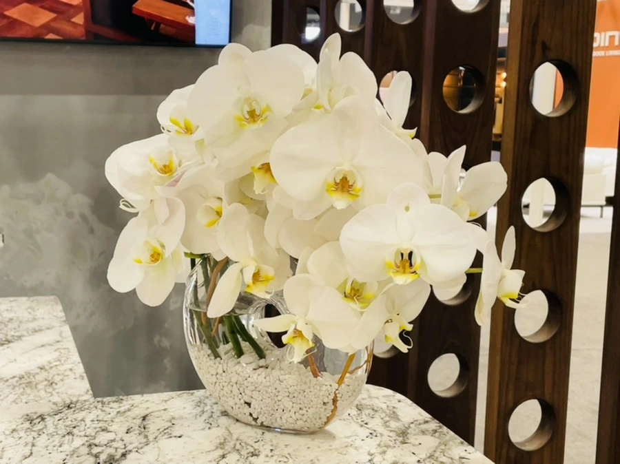 IMG_3002.jpg?type=w966