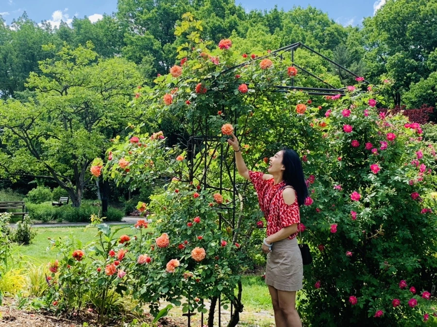 IMG_5788.jpg?type=w966