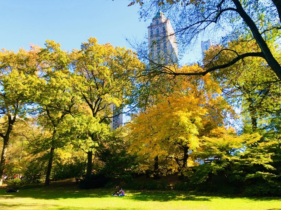 IMG_3753.jpg?type=w966