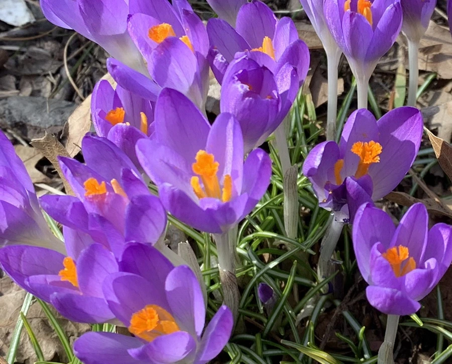 IMG_9702.jpg?type=w966