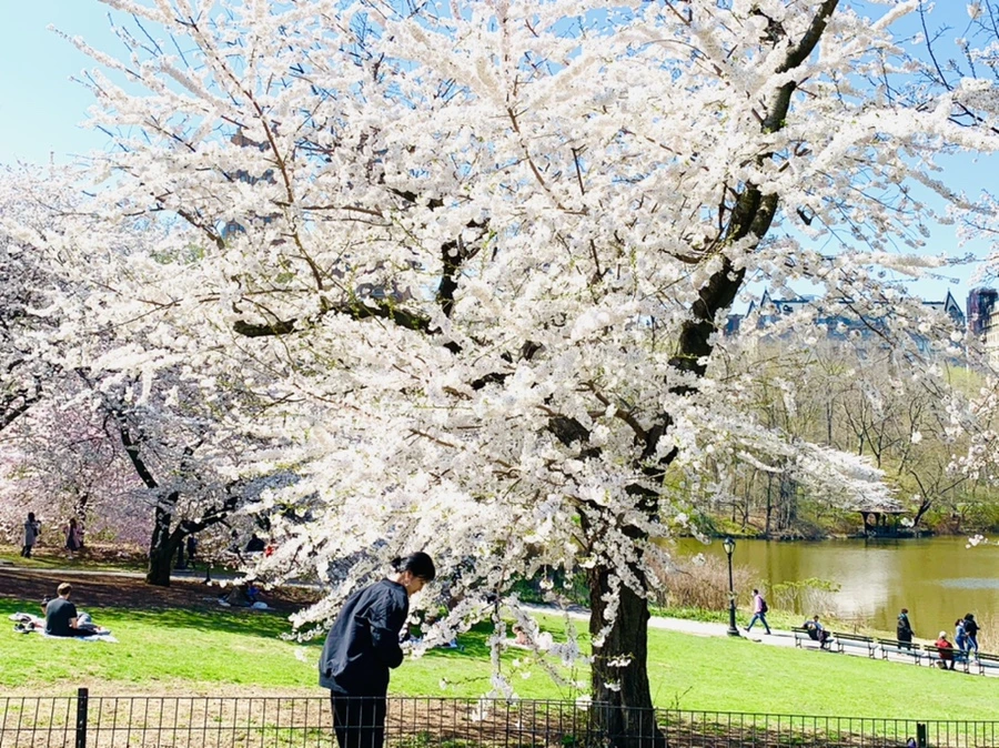 IMG_8963.jpg?type=w966