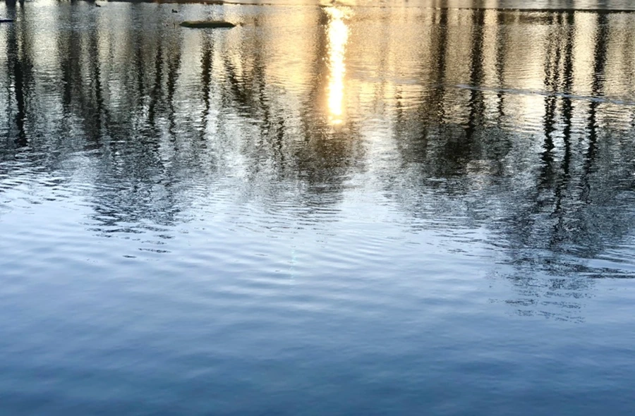 IMG_0937.jpg?type=w966