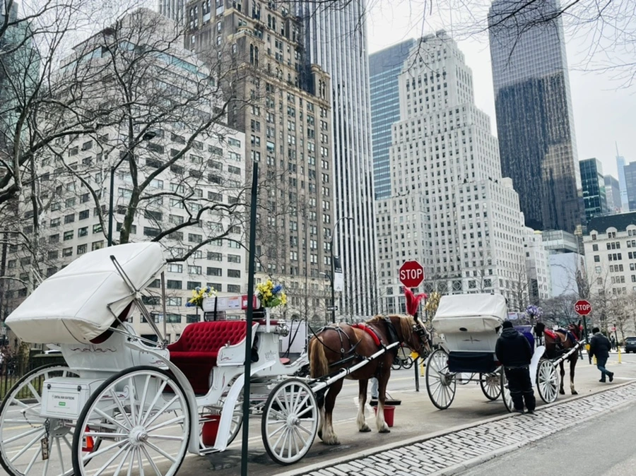 IMG_3902.jpg?type=w966