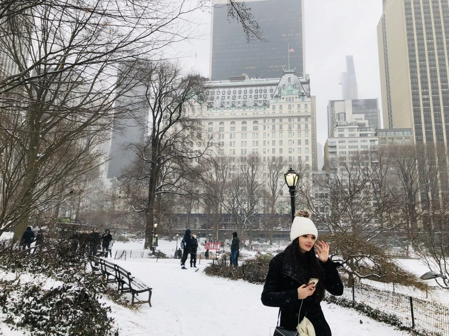 IMG_9536.jpg?type=w966