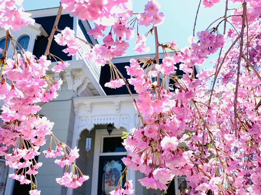 IMG_1603.jpg?type=w966